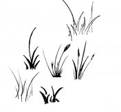 小草简笔画图片