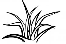 小草简笔画图片