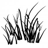 小草丛简笔画图片