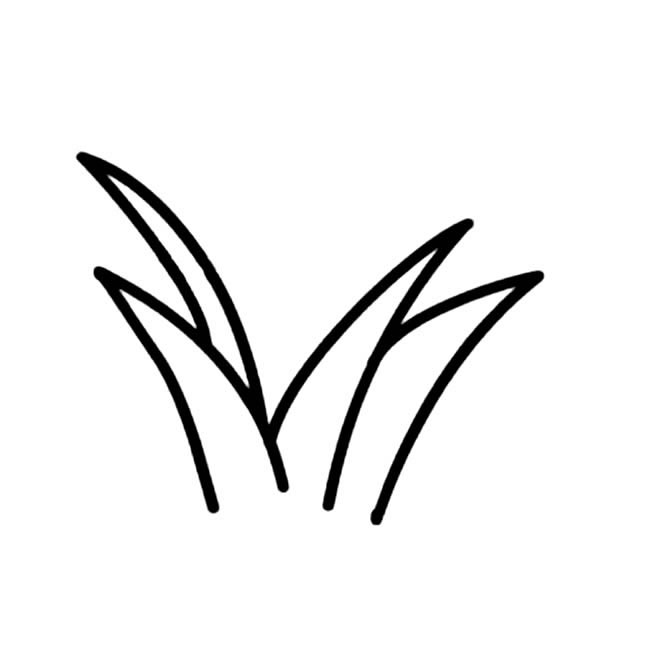 小草简笔画图片