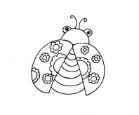 展翅的七星瓢虫简笔画