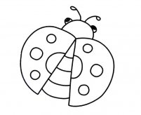 七星瓢虫简笔画