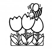 采花蜜的蜜蜂简笔画图片