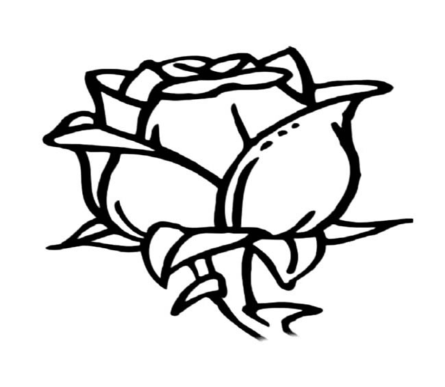 手绘玫瑰花朵简笔画图片
