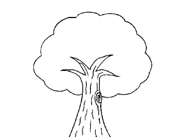 简单好看的树简笔画图片