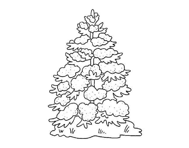 圣诞节大雪压松树简笔画图片