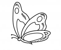 花蝴蝶简笔画图片