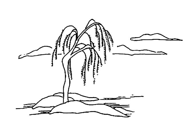 河边柳树简笔画图片