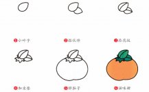 橘子简笔画步骤图片大全