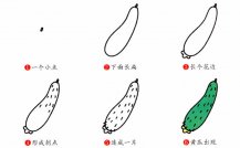 黄瓜简笔画步骤图片大全