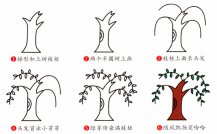 柳树简笔画步骤图片大全