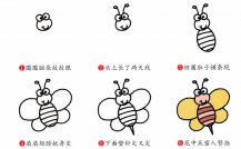 蜜蜂昆虫简笔画步骤图片大全