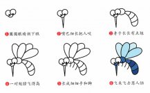 蚊子昆虫简笔画步骤图片大全