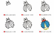 萤火虫昆虫简笔画步骤图片大全
