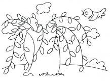 柳树植物简笔画步骤图片大全