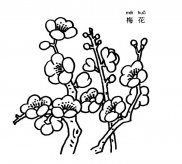 梅花植物花简笔画步骤图片大全