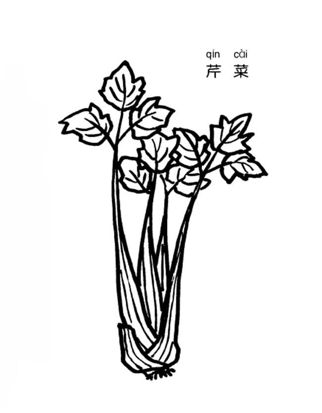 芹菜蔬菜简笔画步骤图片大全