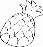菠萝水果简笔画步骤图片大全