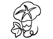 牵牛花植物花简笔画步骤图片大全三