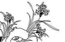 水仙花植物花简笔画步骤图片大全