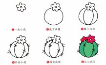 仙人球植物花简笔画步骤图片大全二