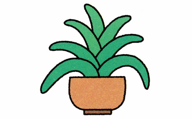 君子兰植物花简笔画步骤图片大全