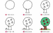 苹果树植物简笔画步骤图片大全