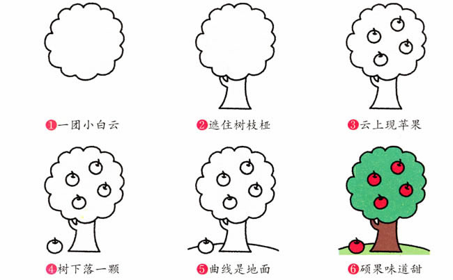 苹果树植物简笔画步骤图片大全