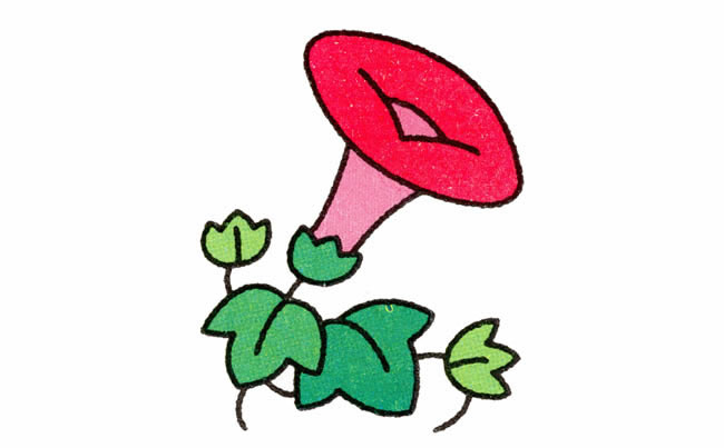 牵牛花植物花简笔画步骤图片大全五