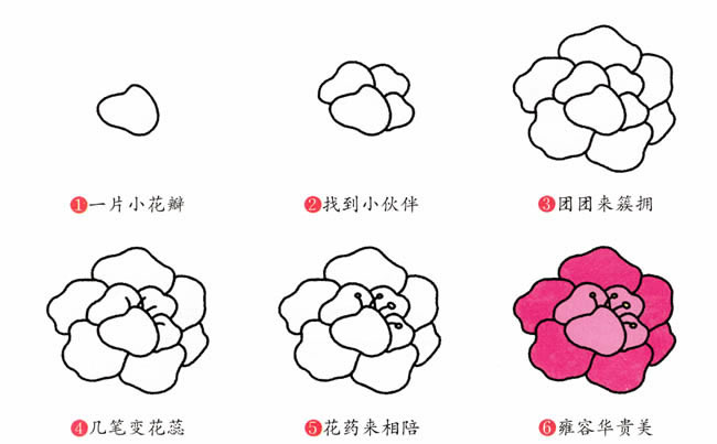 牡丹花植物花简笔画步骤图片大全