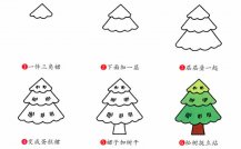 松树植物简笔画步骤图片大全