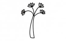 小树苗植物简笔画步骤图片大全