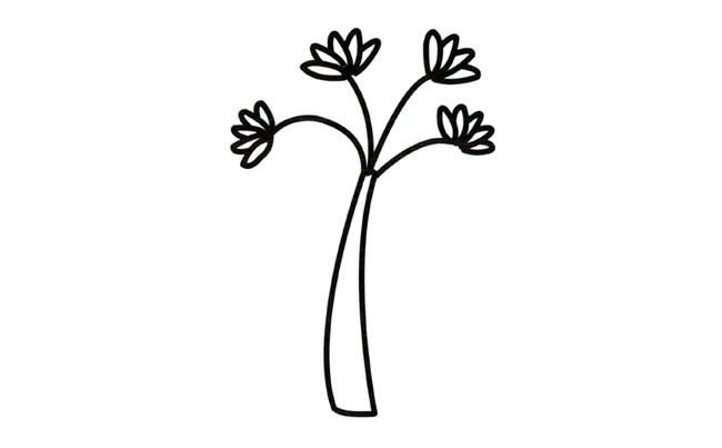 小树苗植物简笔画步骤图片大全