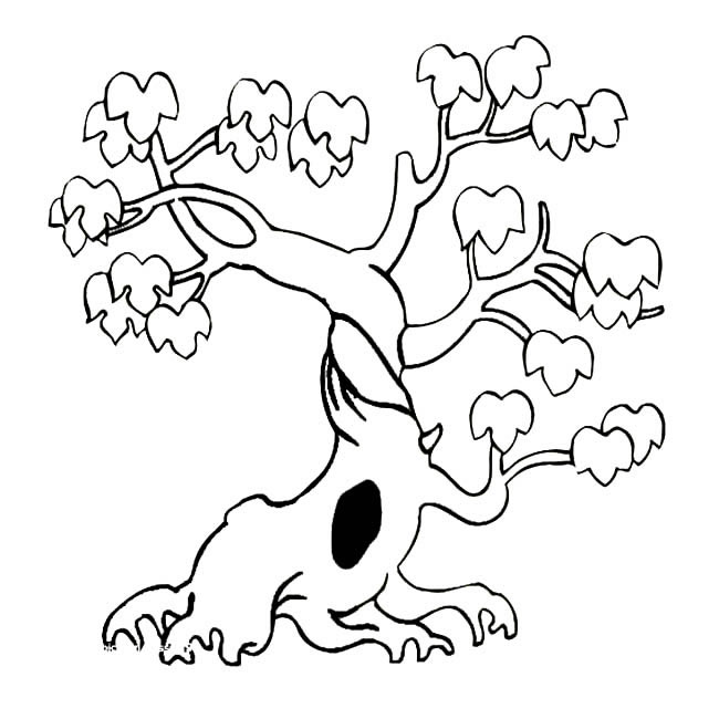 景观树植物简笔画步骤图片大全