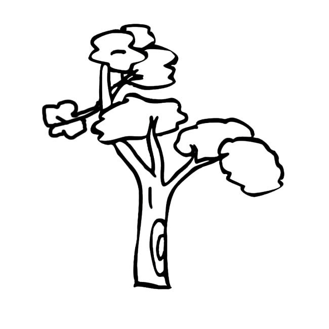大树植物简笔画步骤图片大全三