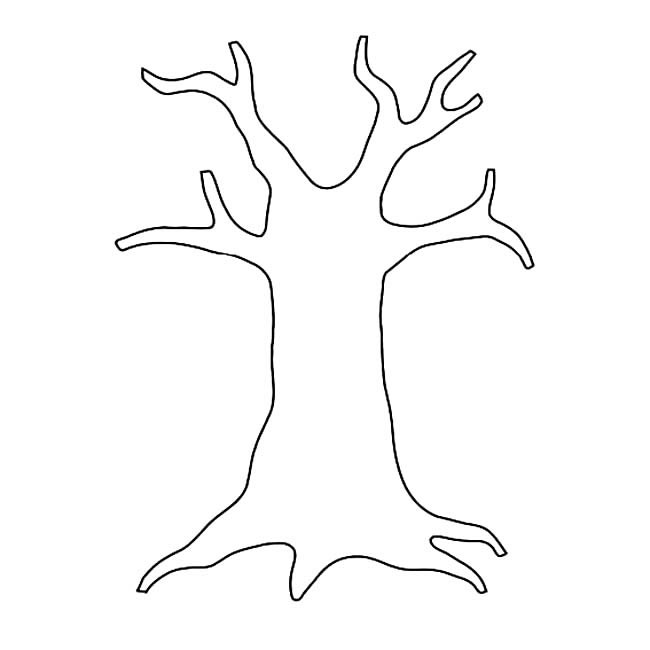 粗壮的树干植物简笔画步骤图片大全