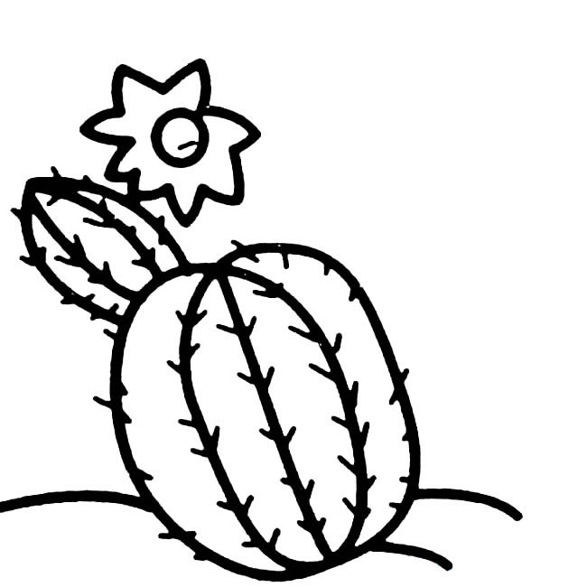 仙人球植物简笔画步骤图片大全二