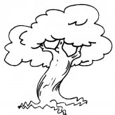 一颗大树植物简笔画步骤图片大全