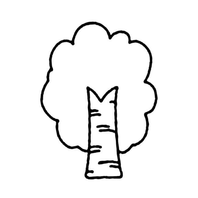 白桦树植物简笔画步骤图片大全