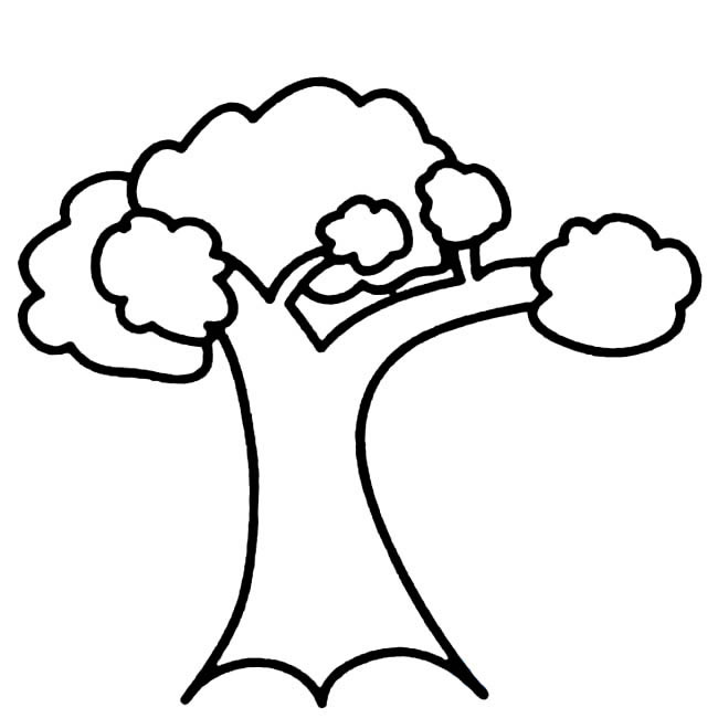 大树植物简笔画步骤图片大全六