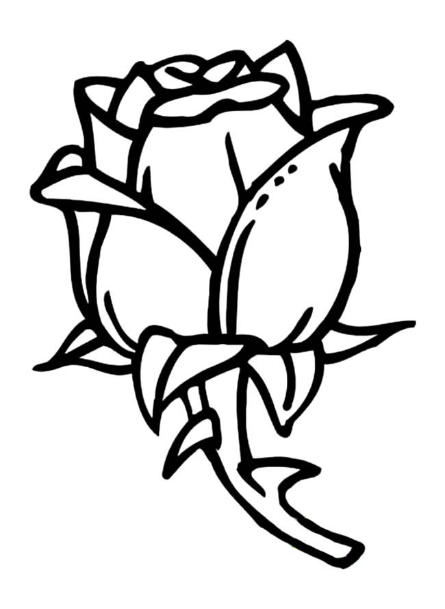 玫瑰花植物花简笔画步骤图片大全六