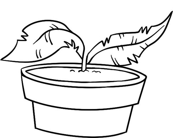 食人草简笔画图片
