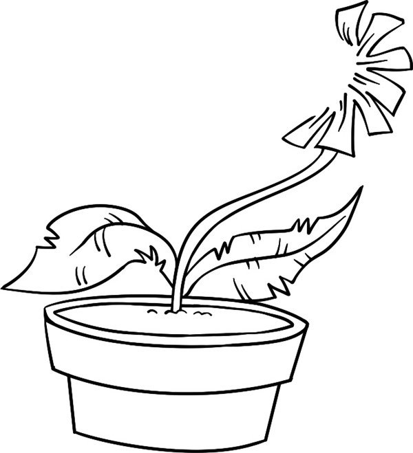 食人草简笔画图片