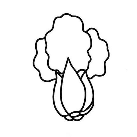 上海青简笔画图片