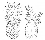 5款菠萝简笔画图片大全