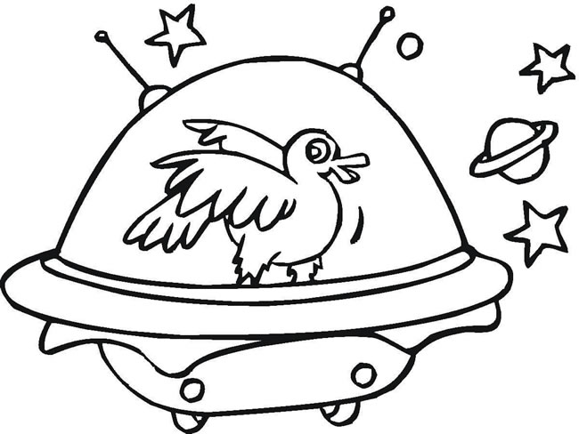 鸭子乘坐宇宙飞船
