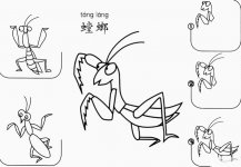 螳螂怎么画简笔画图片