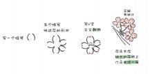 一枝樱花水彩简笔画的画法