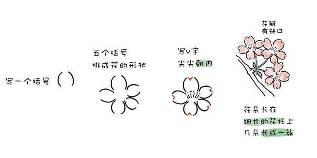 一枝樱花水彩简笔画的画法