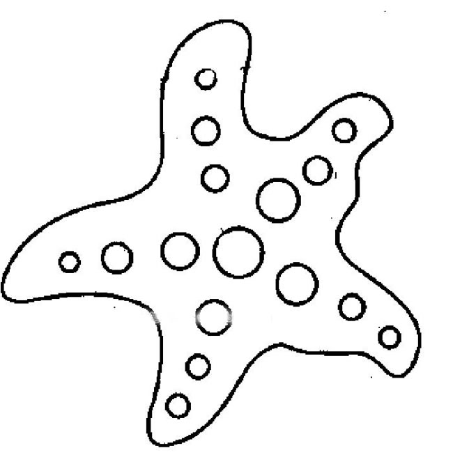 卡通海星简笔画图片大全